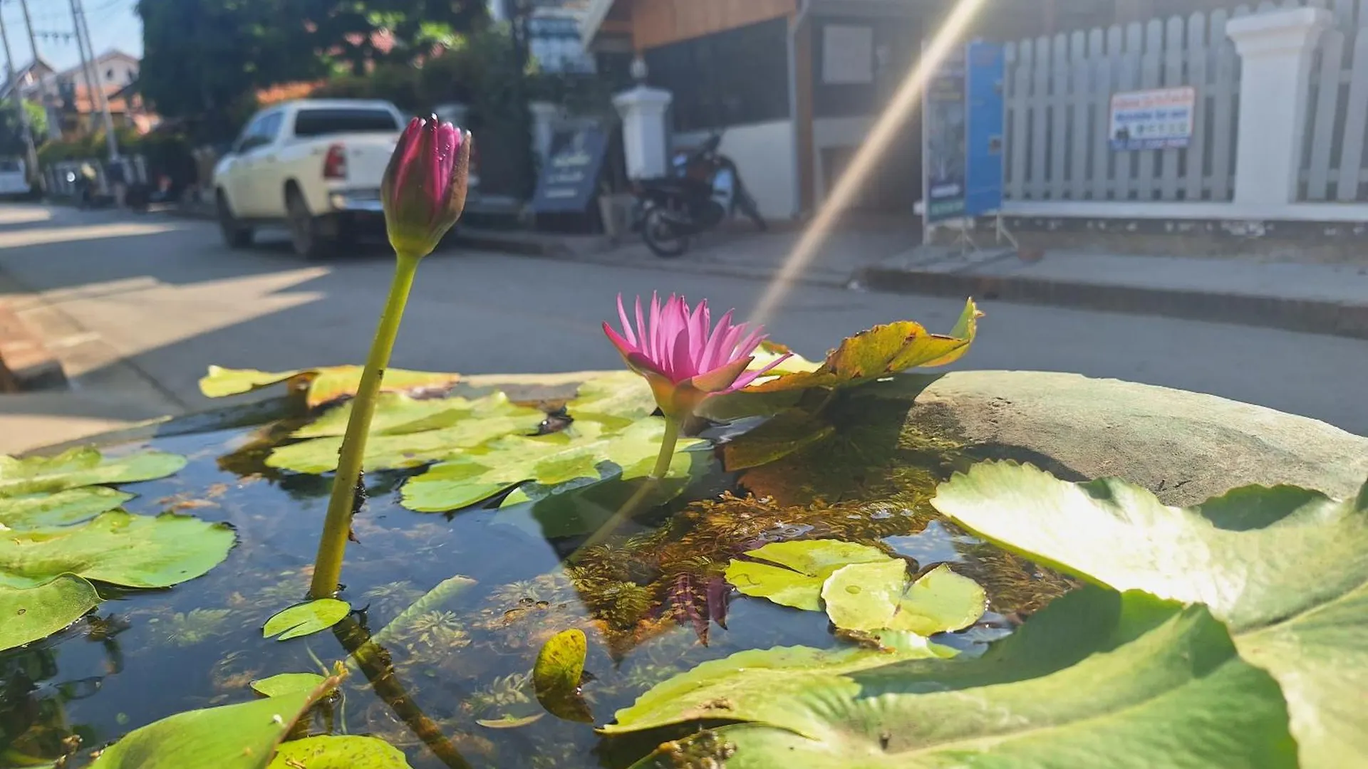 Villa Khounsok Sunset Luang Prabang Laos